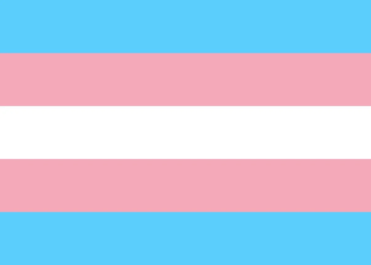 Transgender Flag