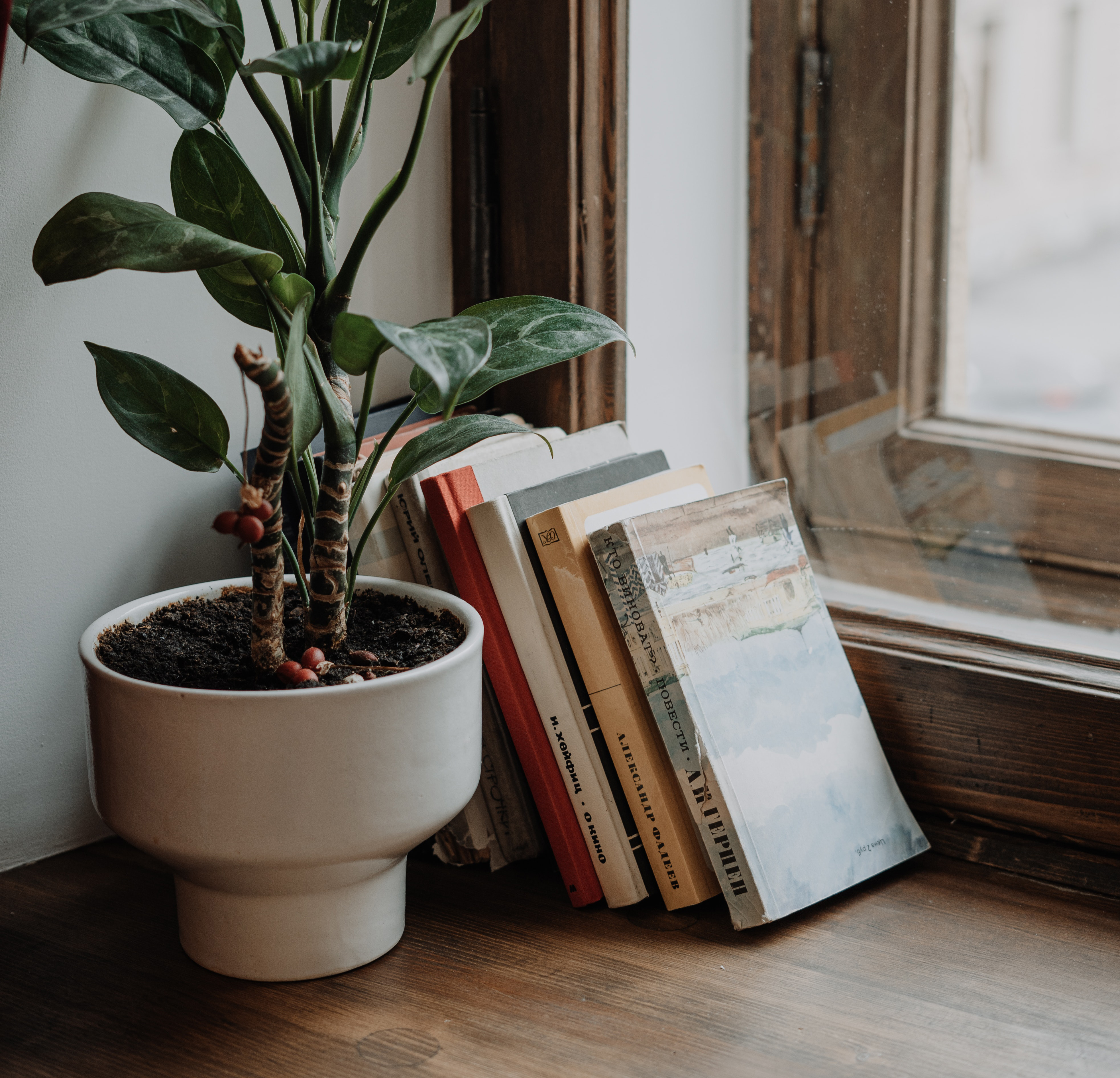 What is my therapist reading